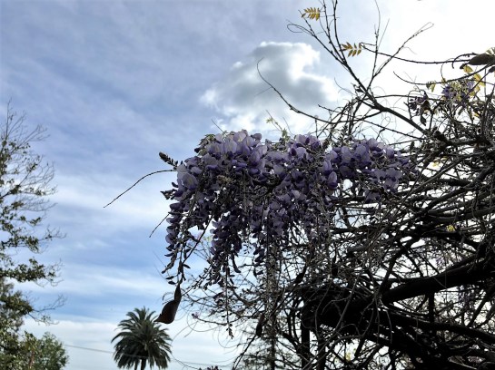 0d79d3d7-12e1-4582-80d1-1948d8c420ff