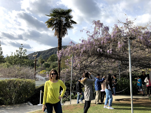 46b85728-5017-41a2-8343-661d02530e39