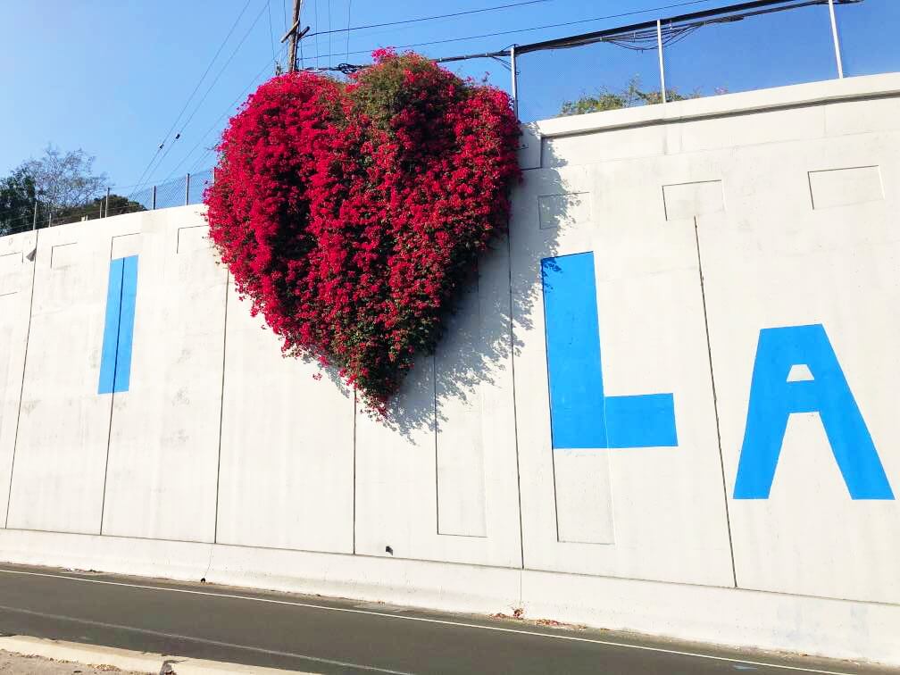 2018-08-25 12.51.27 1 (1)