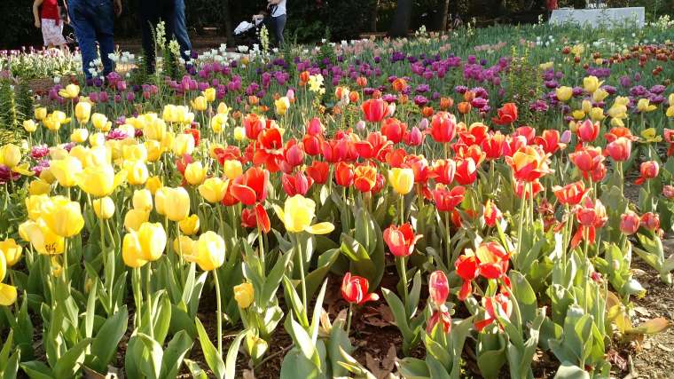 IMG_20170311_161548492