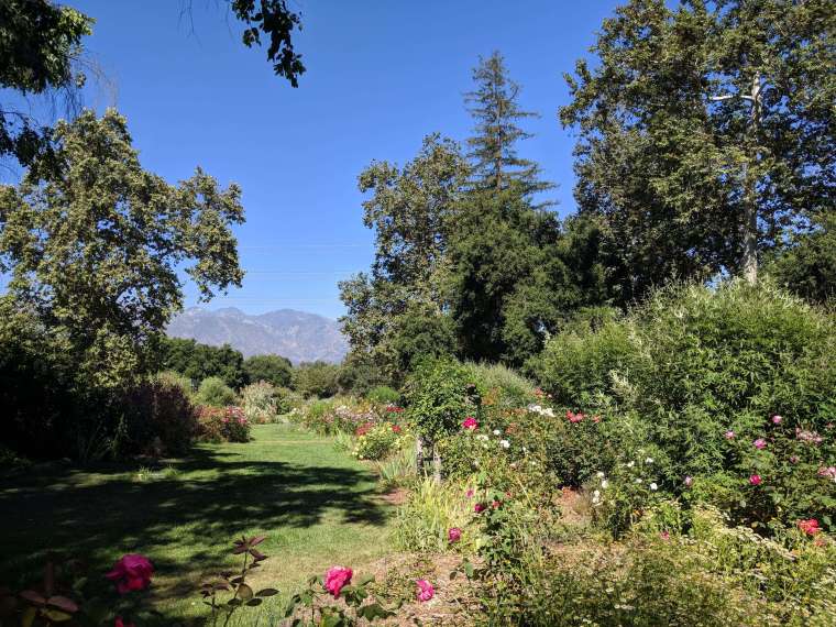 IMG_20190716_161351-compressor