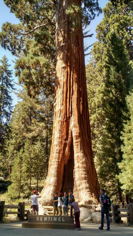 IMG_20160917_135224180_HDR