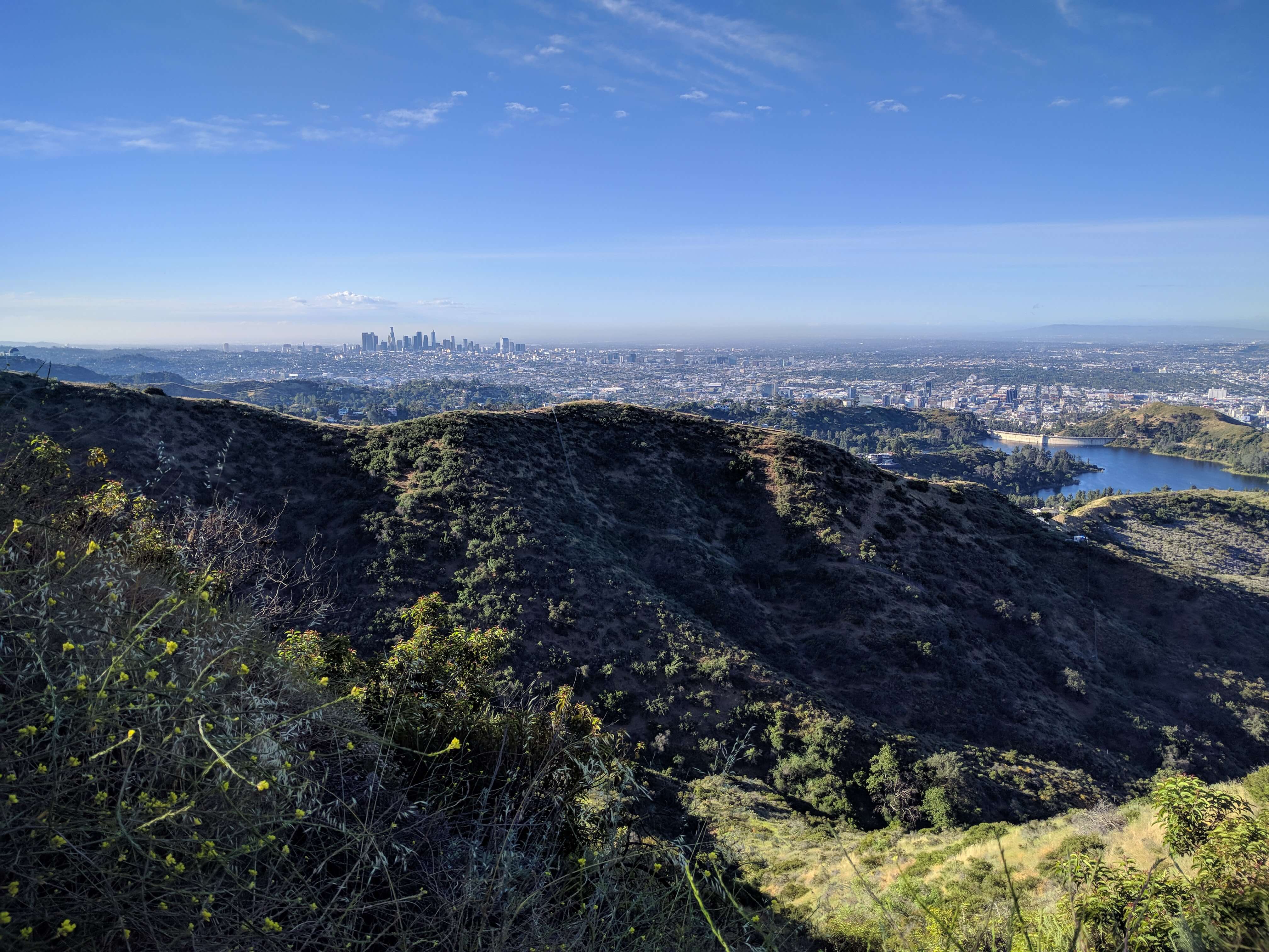 Hike the Wisdom Tree – DayDream Under the Stars