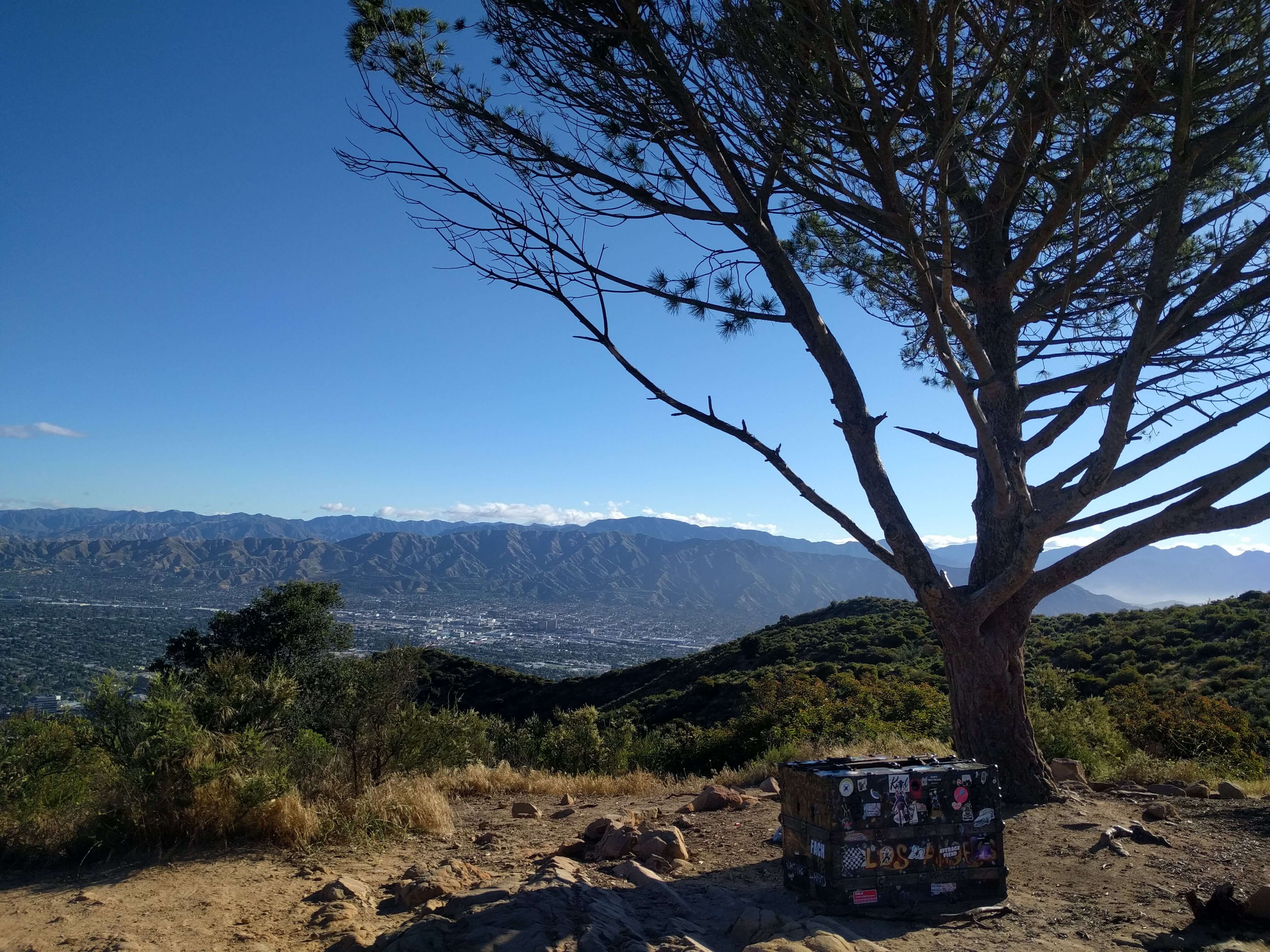 Hike the Wisdom Tree – DayDream Under the Stars